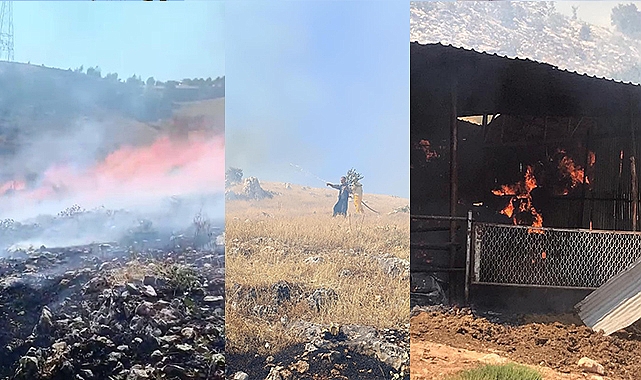 Ormanlık alanda çıkan örtü yangını ahıra sıçradı