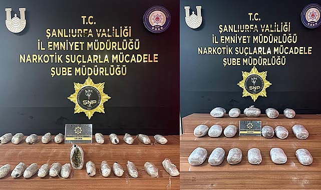 Şanlıurfa'da 29 kilo skunk ele geçirildi