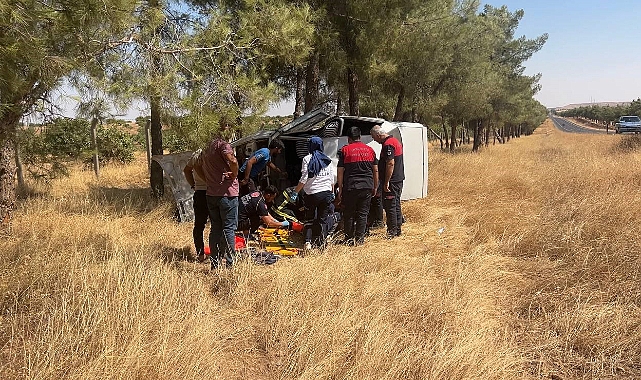 Şanlıurfa'da kontrolden çıkan otomobil ağaca çarptı: 2 yaralı