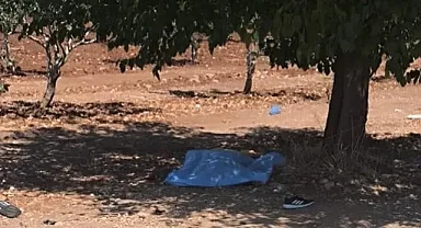 Şanlıurfa'da tarlada bir şahsın cesedi bulundu