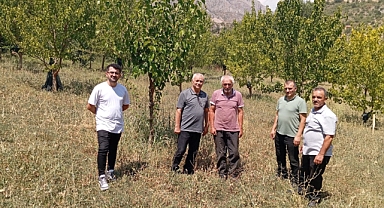 Şanlıurfa’dan götürülen badem fidanları eğimli arazilere dikildi
