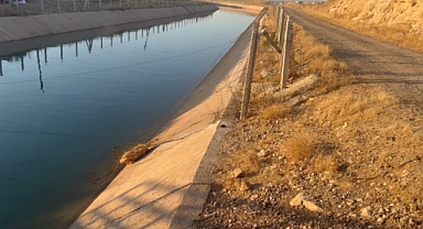 Suruç'ta sulama kanalına giren çocuk boğuldu