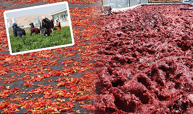Urfa'da tarladan sofraya acının serüveni