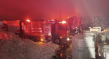 Akçakale'de fabrika yangını geceyi aydınlattı!