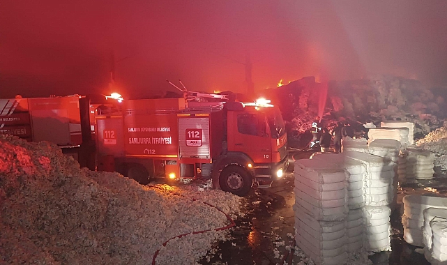 Akçakale'de fabrika yangını geceyi aydınlattı!