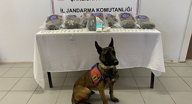 Birecik'te uyuşturucu operasyonu!