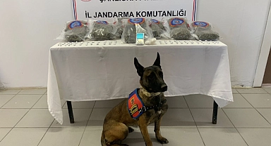 Birecik'te uyuşturucu operasyonu!