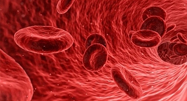 Kandaki eritrosit düşüklüğüne dikkat! Bu hastalığı tetikliyor