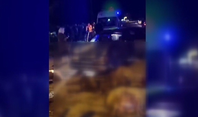 Otomobil koyun sürüsüne çarptı; Koyunlar telef oldu