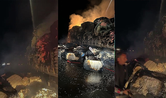 Şanlıurfa'da Pamuk Yüklü Tır Alev Alev Yandı