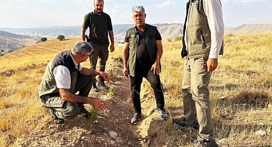 Urfa heyeti Batman'da bin dekarlık alanda denetimde
