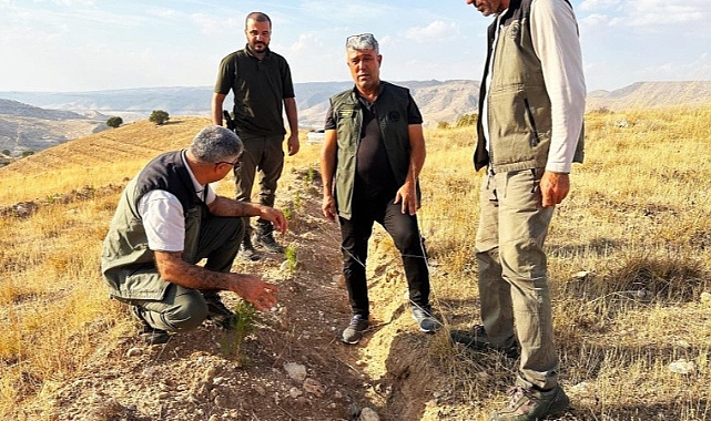 Urfa heyeti Batman'da bin dekarlık alanda denetimde