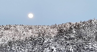 Adana'nın Feke ilçesi beyaza büründü