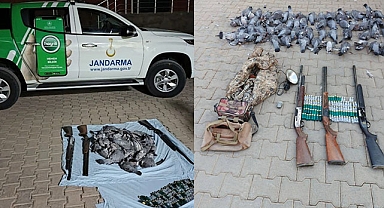 Ceylanpınar’da Kaçak Avcılara 224 Bin TL Ceza