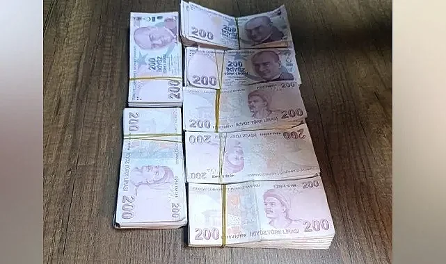 Harran'da 160 Bin TL'lik hırsızlık olayının faili yakalandı