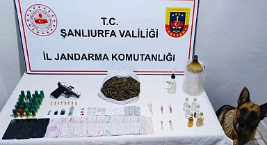 Jandarmadan Urfa'nın iki ilçesine uyuşturucu operasyon!