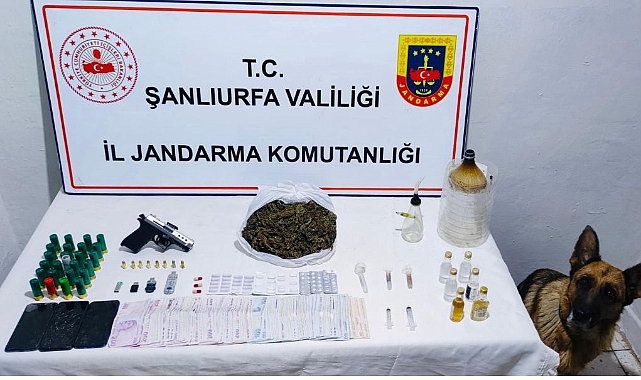 Jandarmadan Urfa'nın iki ilçesine uyuşturucu operasyon!