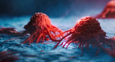 Prof. Dr. Erdoğan: "Akciğer kanserini erken evrede yakalayamıyoruz"