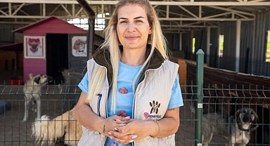 Urfa'dan 29 köpeği Ankara’ya götüren Özgünlü’nün yargılanmasına devam edildi