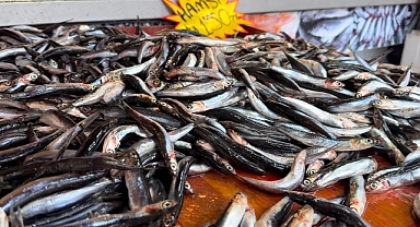 Uzmanı uyardı: "Çocuklara haftada iki kez balık yedirin"