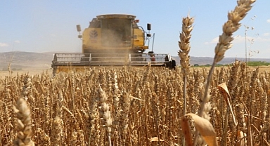 Güneydoğu’nun 11 aylık hububat ihracatı ne kadar oldu?