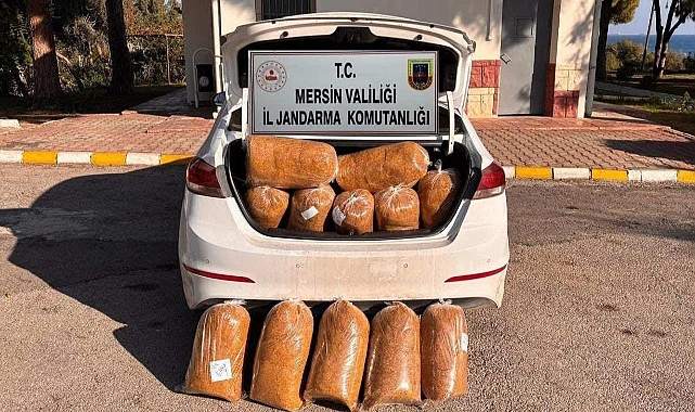 Mersin'de sigara kaçakçılarına operasyonu: 4 gözaltı
