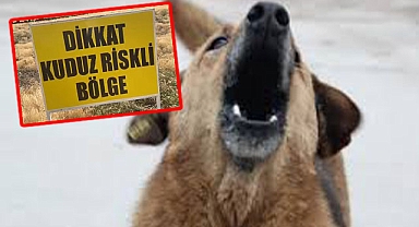 Şanlıurfa'da kuduz vakası! 9 yaşındaki çocuk öldü