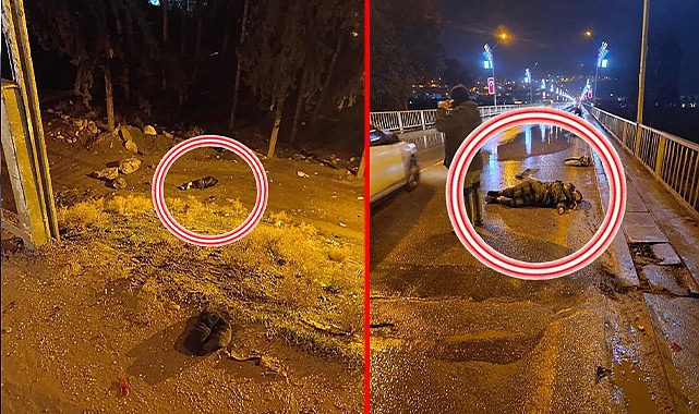 Şanlıurfa'da vicdansızlığın böylesi görülmedi! Sürücü çarptığı iki kişiyi ölüme terk etti