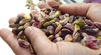 Şanlıurfa'da "yeşil altın" olarak biliniyor! Kullanım alanı ve ihracatı arttı