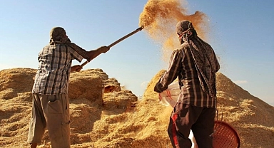 Tarımsal girdi fiyat endeksi açıklandı