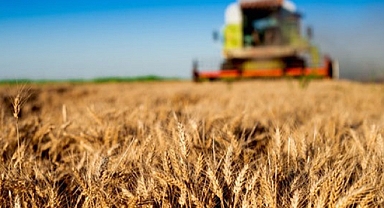 TÜİK, Tarım Ürünleri Üretici Fiyat Endeksi verilerini paylaştı