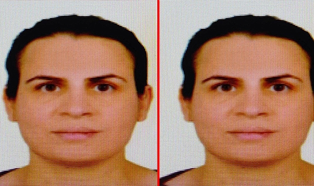 İstanbul'da öldürülen kadın Urfalı çıktı