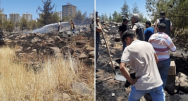 Şanlıurfa'da 2024 yılında kaç yangın çıktı?