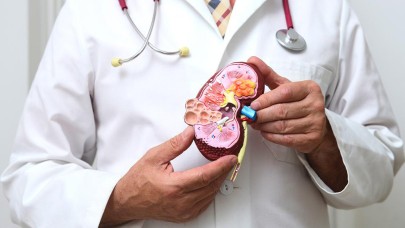Kan şekeri dengesizliği böbreklere ve kalbe vuruyor mu?