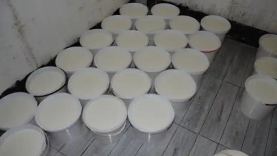 Şanlıurfa'da zabıtadan yoğurt baskını! 500 kilo yoğurt ele geçirildi