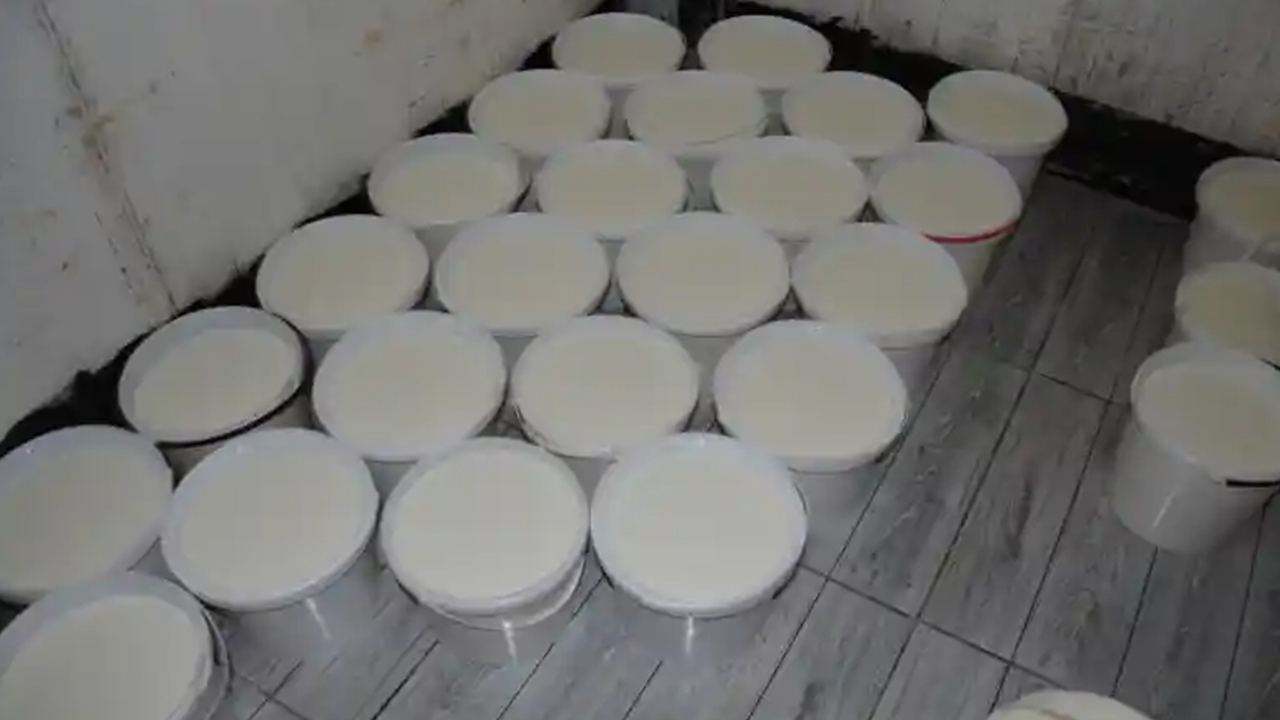 Şanlıurfa'da zabıtadan yoğurt baskını! 500 kilo yoğurt ele geçirildi