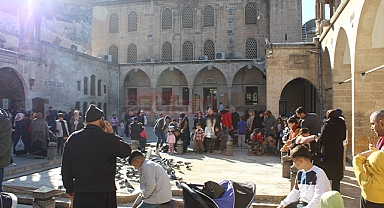 Nüfus rakamları açıklandı! Şanlıurfa en düşük iller arasında