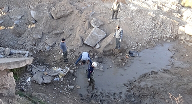 Şanlıurfa'da çamur bataklığında mahsur kalan 240 kaplumbağa kurtarıldı