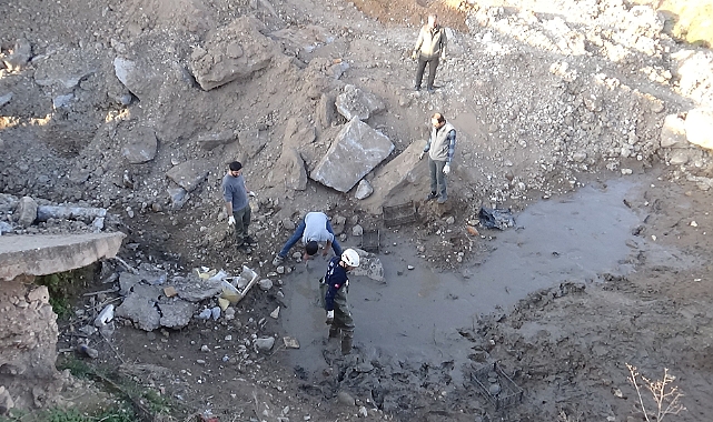 Şanlıurfa'da çamur bataklığında mahsur kalan 240 kaplumbağa kurtarıldı