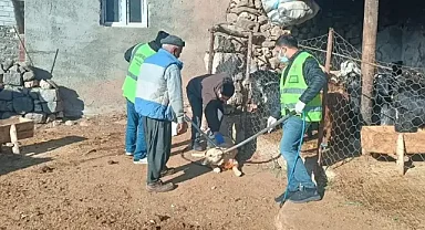 Şanlıurfa'da kuduz köpek saldırısı kamerada! Köy karantinaya alındı
