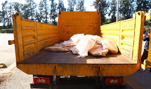Şanlıurfa'dan Antalya'ya otobüsle gönderilen 300 kilogram sakatata el konuldu
