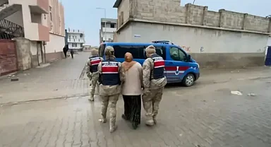 Şanlıurfa merkezli 3 ilde terör operasyonu: 7 gözaltı