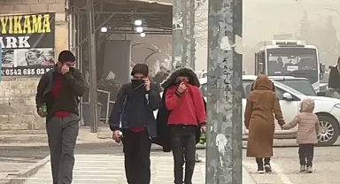 Suriye'den gelen toz bulutu Şanlıurfa’yı esir aldı