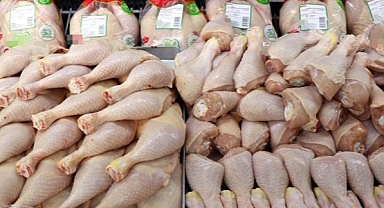 Tavuk eti üretimi verileri açıklandı