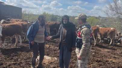 Siverek'te 13 büyükbaş hayvan çalan hırsızlık şüphelisi yakalandı