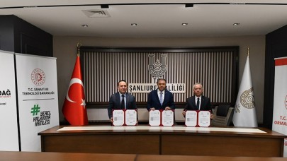 Şanlıurfa, Balık Üretiminde Ana Üs Olmaya Hazırlanıyor