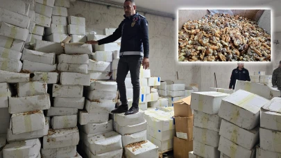 Şanlıurfa'da 11 ton kurtlanmış ceviz içi ele geçirildi