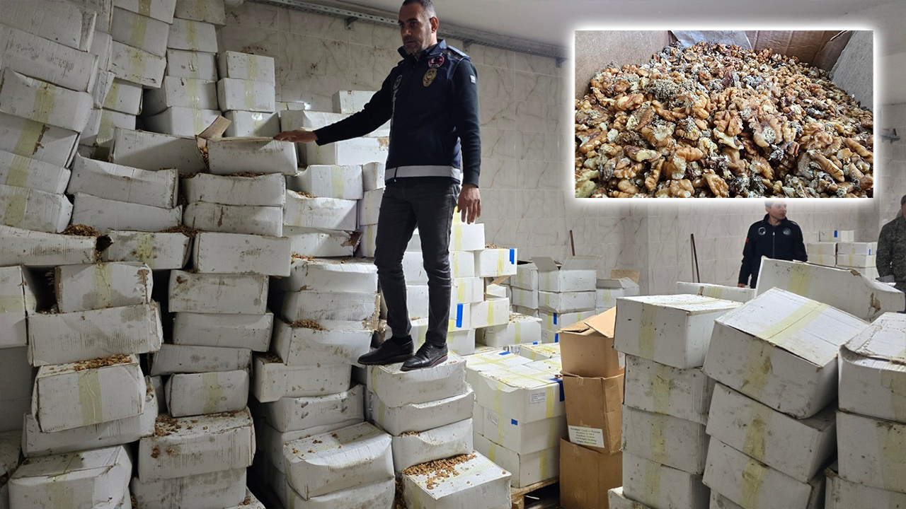 Şanlıurfa'da 11 ton kurtlanmış ceviz içi ele geçirildi