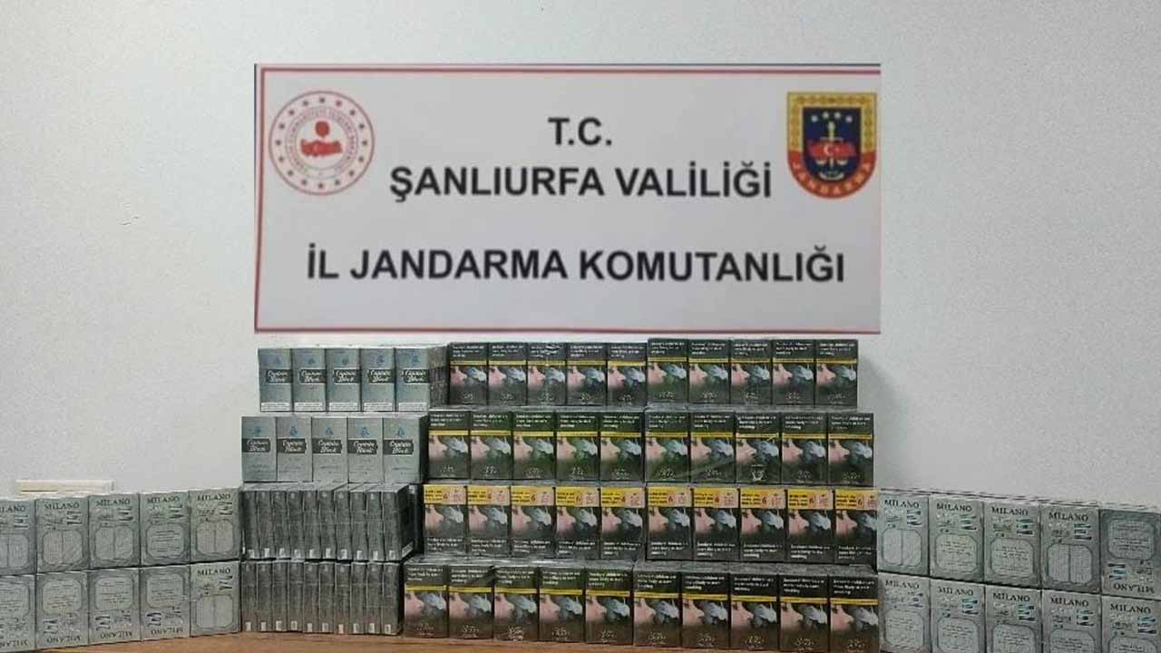 Viranşehir, Birecik ve Karaköprü’de Kaçak Sigara Operasyonu
