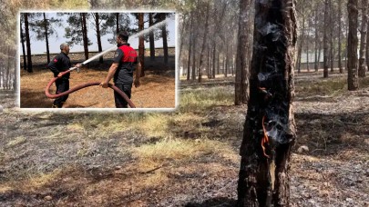 Suruç’ta 80 Dönümlük Arazide Yangın!